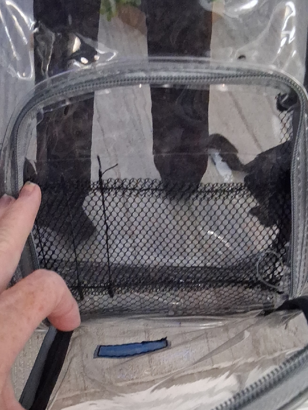 Clear Transparent Backpack with Black Trim - Picture 6 of 9